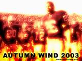 Raiders Wallpaper: Autumn Wind 2003
