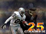Raiders Wallpaper: #25 - Garner