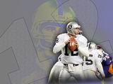 Raiders Wallpaper: #12 Rich Gannon
