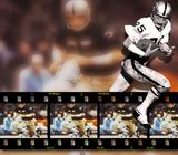 Raiders Wallpaper: Freddy