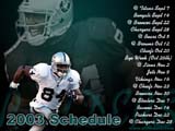 Raiders Wallpaper: Schedule 2003
