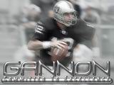 Raiders Wallpaper: Rich Gannon 2005