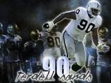 Raiders Wallpaper: Terdell Sands