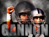 Raiders Wallpaper: Gannon