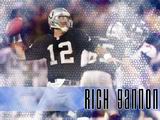 Raiders Wallpaper: Gannon #2